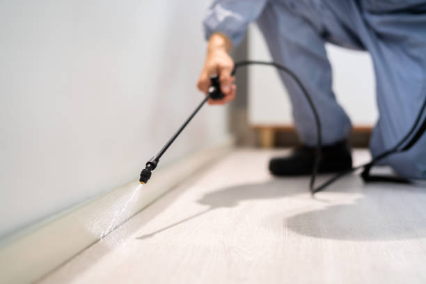 Licensed Termite Control service in Gettysburg, PA - Nex Pest Control
