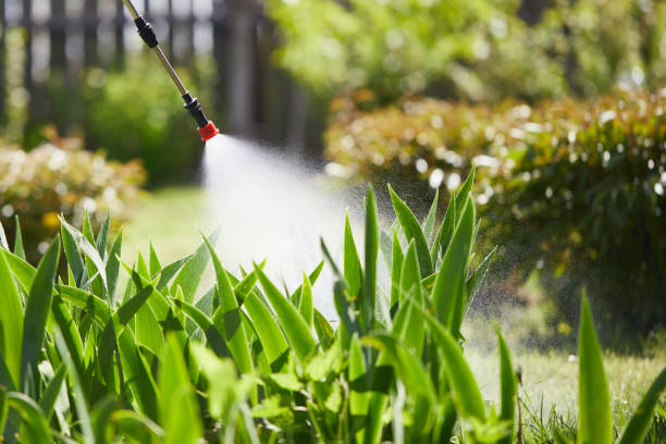 24/7 Emergency Termite Control experts in Gettysburg, PA