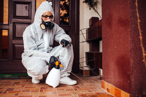 Reliable Termite Control contractor in Gettysburg, PA by Nex Pest Control