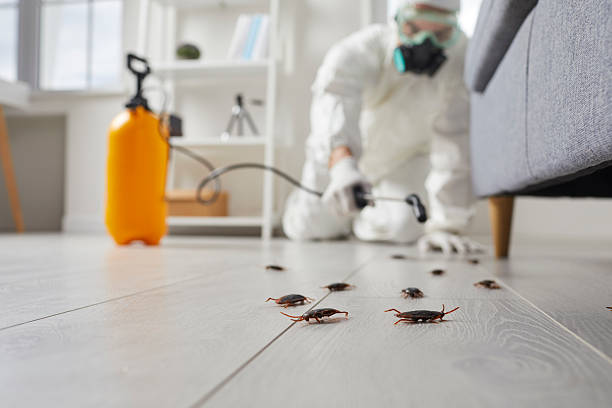 Affordable Termite Control solutions in Gettysburg, PA