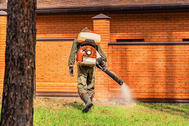 Top rated local Termite Control specialists in Gettysburg, PA